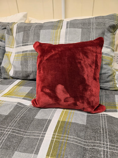 Fleece Blanket in a cushion.