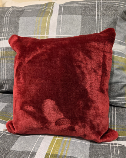 Fleece Blanket in a cushion.